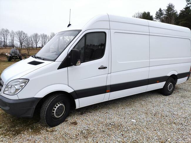 CZYSZCZENIE DZIAŁEK - Koszenie trawy - Mulczowanie - do 50km