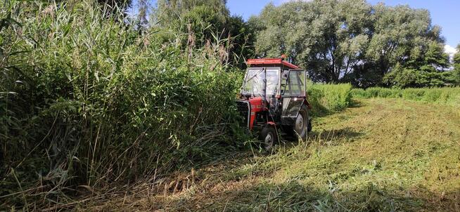 CZYSZCZENIE DZIAŁEK - Koszenie trawy - Mulczowanie - do 50km