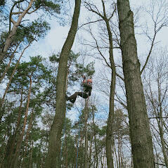 Wycinka drzew, usługi podnośnikiem koszowym, zwyżka