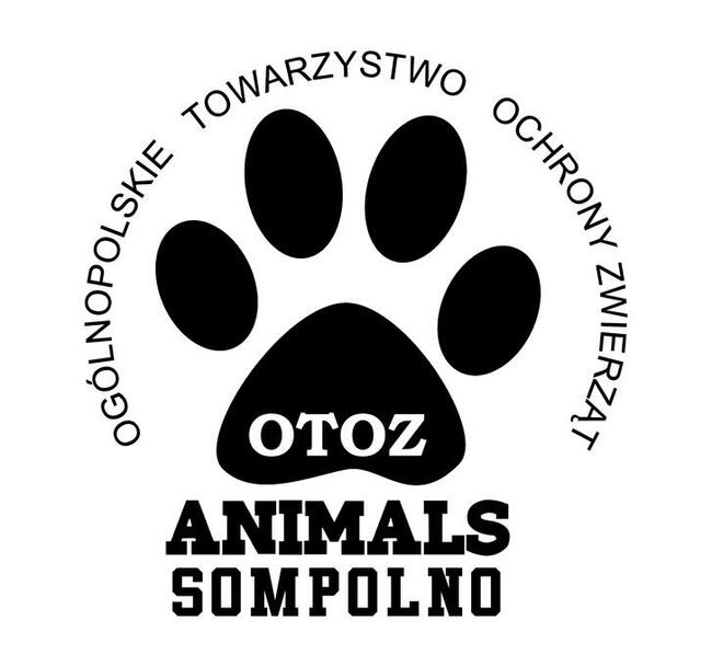 Opiekun zwierząt i kierowca w schronisku w Sompolnie