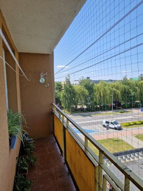 Montaz siatki na Ptaki i Koty na Rzeszów Tarnobrzeg Mielec