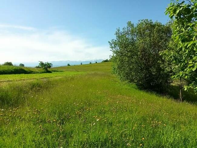 Działka rolna Odrowąż