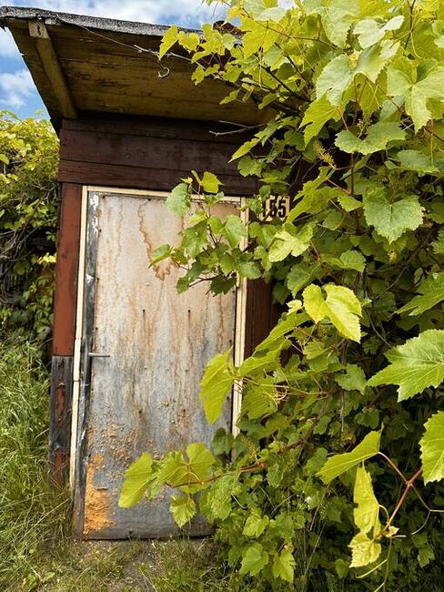 Działka w Centrum ROD Obrońca z placem zabaw