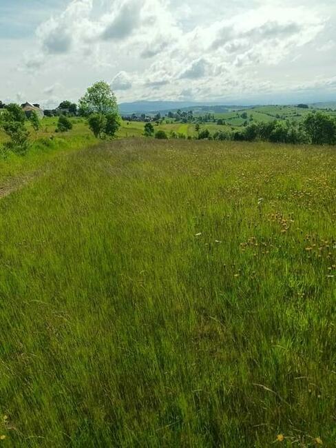 Działka rolna Odrowąż