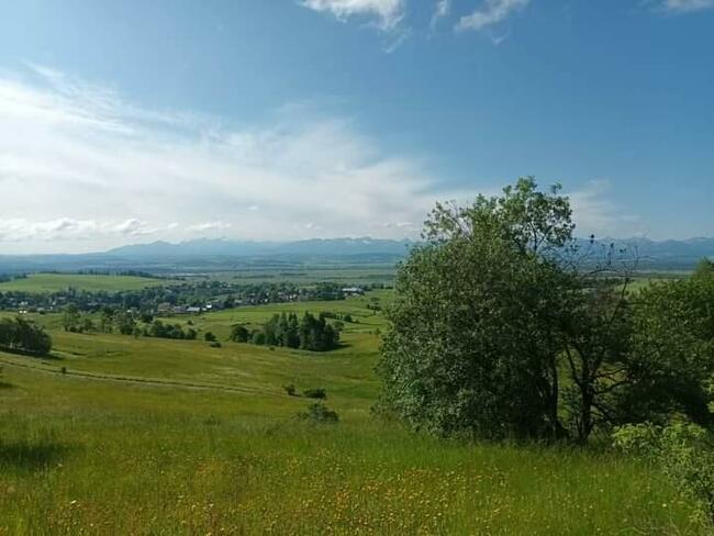 Działka budowlana Odrowąż