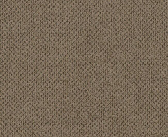 Curio, tkanina tapicerska, miękka i przyjemna w dotyku