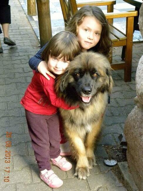 Noclegi bezpośrednio nad jeziorem powidzkim w Ostrowie