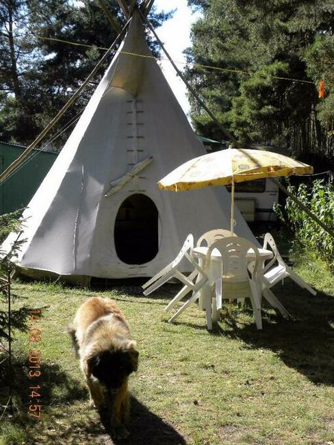 Noclegi bezpośrednio nad jeziorem powidzkim w Ostrowie