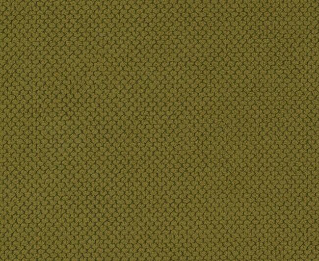 Curio, tkanina tapicerska, miękka i przyjemna w dotyku