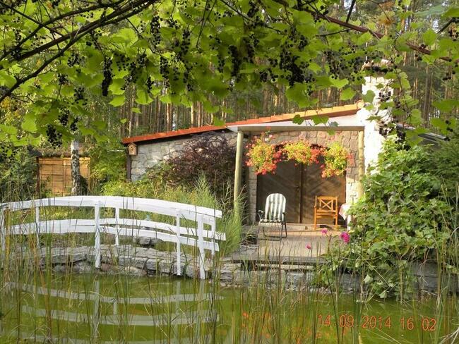 Noclegi bezpośrednio nad jeziorem powidzkim w Ostrowie