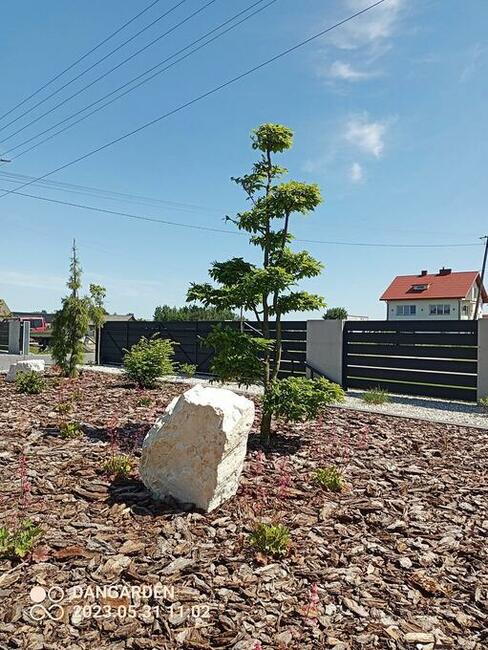 #Usługi ogrodnicze kompleksowo, #trawa z rolki z dowozem.