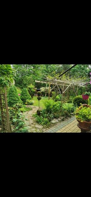 Noclegi w Lutczy. Przyjmę pracowników