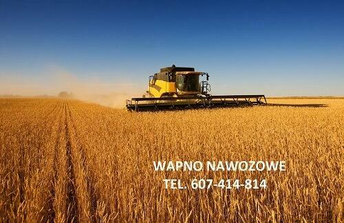 Wapno węglanowe z Kopalni Wapienia Morawica