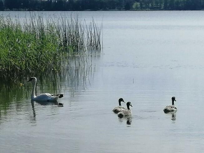 Tratwa na której mozna rozbić namiot kemping mazury nocleg