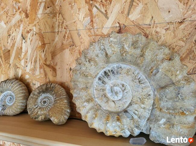 Wystawa Minerałów Ełk