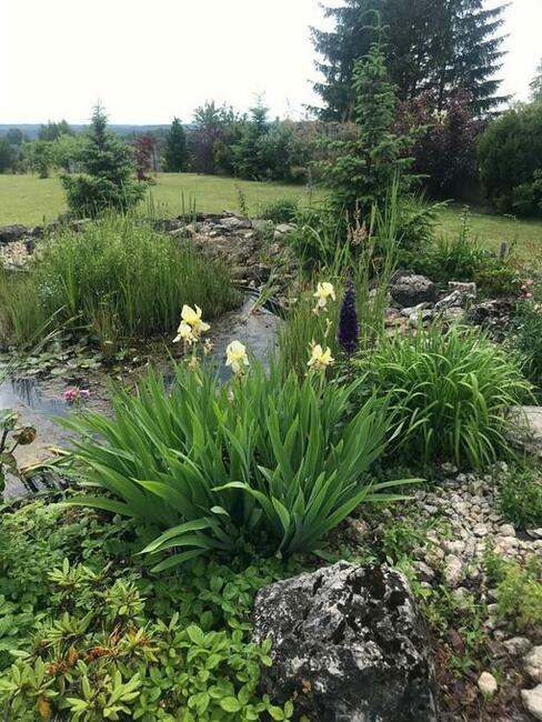 Niegowoniczki dom o wysoki standardzie, piękna działka