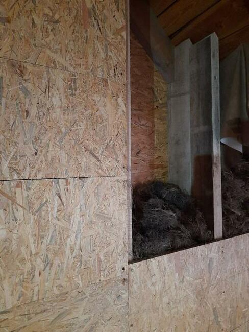 Włókno konopne wełna konopna do ocieplania