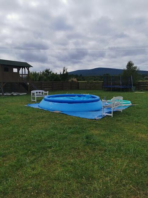 w Dolinie Wilkowskiej,, Pod Jeleniami,, prawdziwymi. Góry Świ