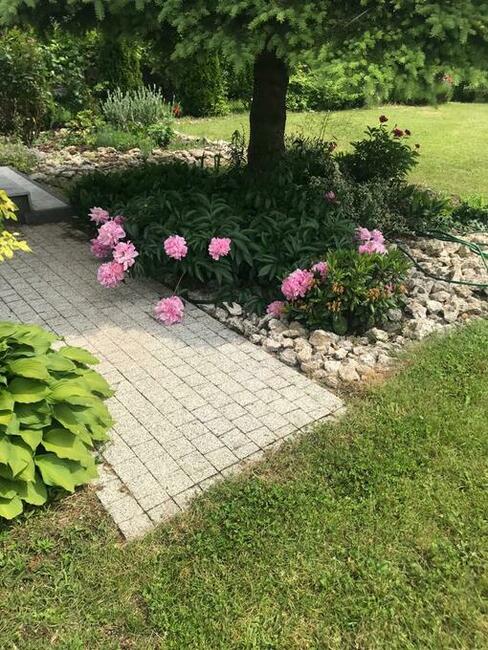 Niegowoniczki dom o wysoki standardzie, piękna działka