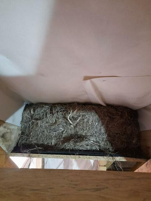 Włókno konopne wełna konopna do ocieplania