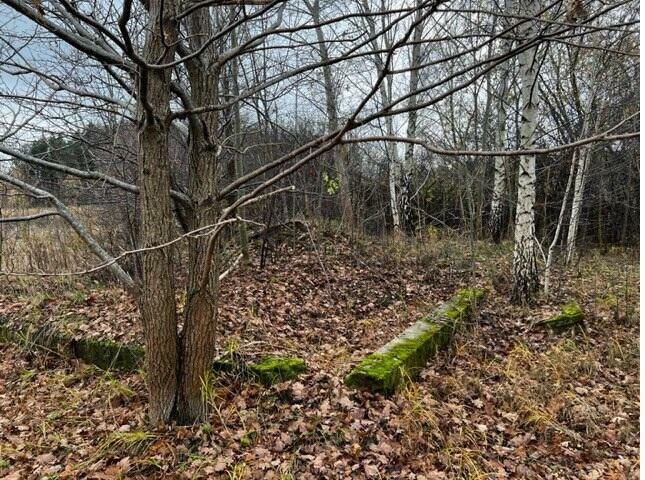 Ogłoszenie o Przetarg na sprzedaż nieruchomości Gmina Cegłów