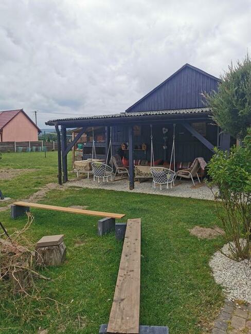 w Dolinie Wilkowskiej,, Pod Jeleniami,, prawdziwymi. Góry Świ