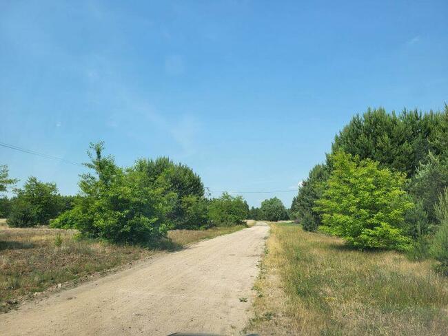 Piękne działki w otulinie lasu