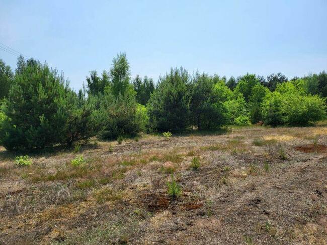 Piękne działki w otulinie lasu