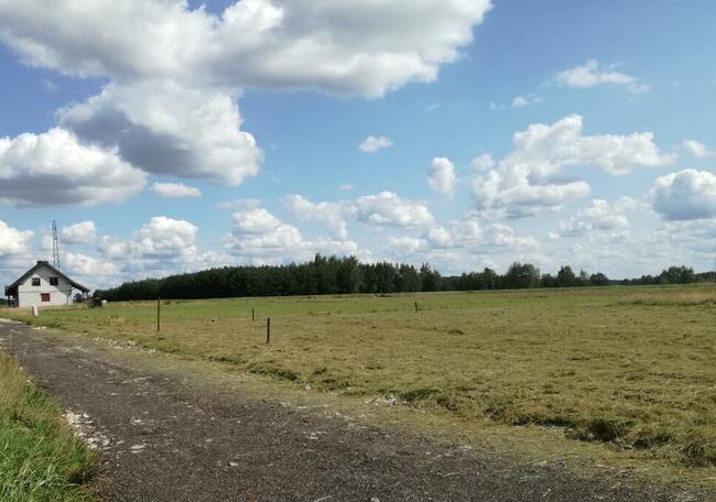 Koszenie traw trawników