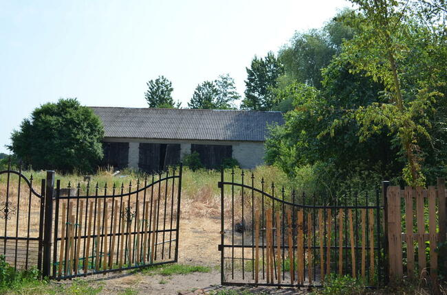 Ziemia rolna na sprzedaż w Lipie Góry gm. Babiak