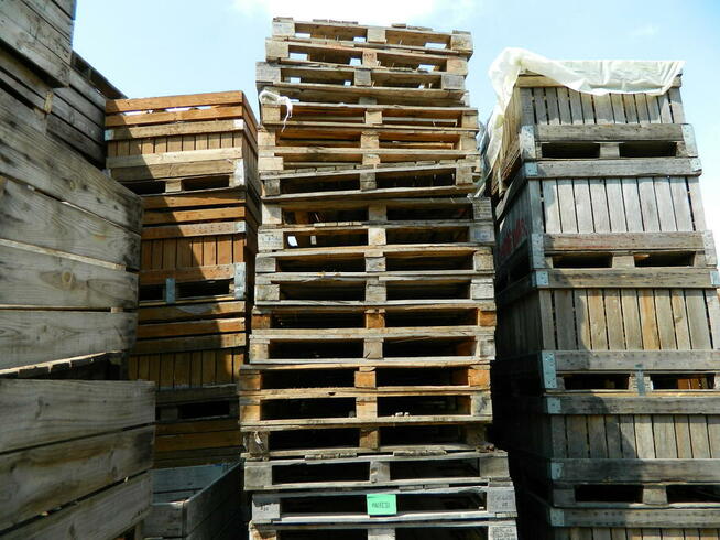Palety drewniane 120x80 120x100