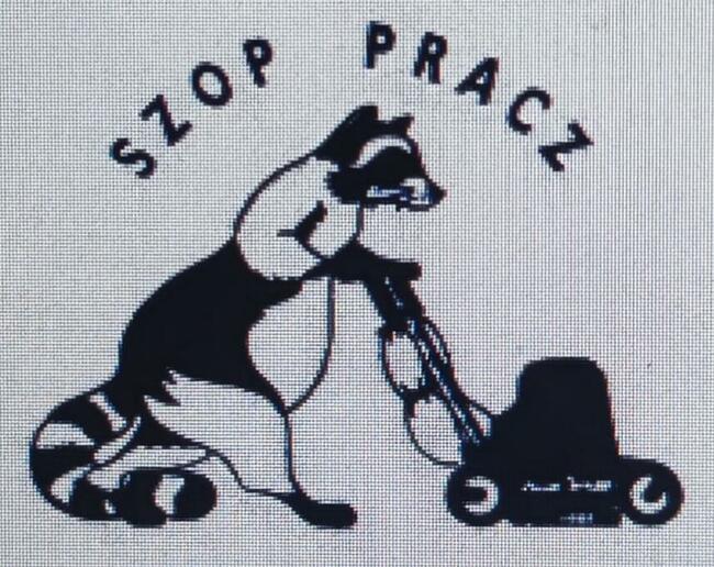 Czysczenie i pranie dywanów, tapicerki meblowej, sprzątanie