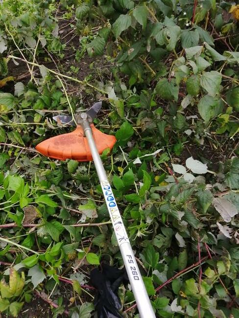 Koszenie traw trawników