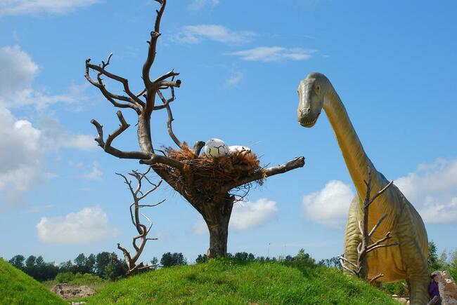 Apartament Lazurowy Łeba nad morzem z basenem