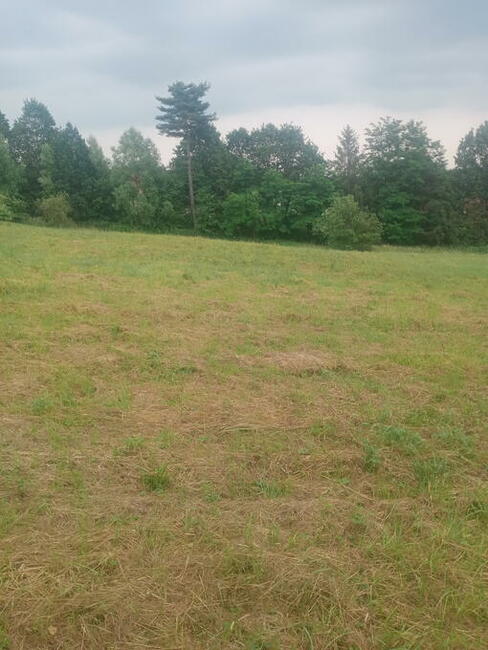 Sprzedam działkę budowlaną.