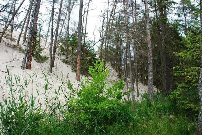 Apartament Lazurowy Łeba nad morzem z basenem