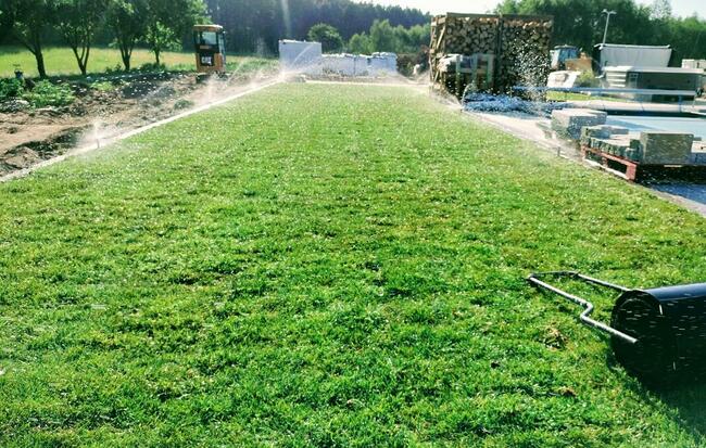 Zakładanie Trawników Usługi Ogrodnicze
