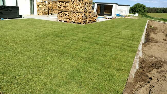 Zakładanie Trawników Usługi Ogrodnicze