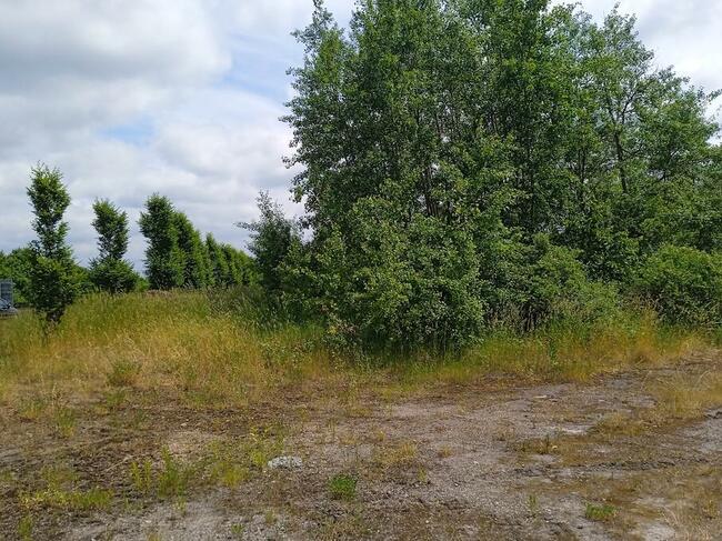 Miejsce na reklamę przy trasie Katowice -Kraków Dk 94