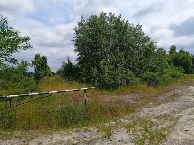 Miejsce na reklamę przy trasie Katowice -Kraków Dk 94