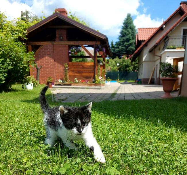 Dom wypoczynkowy dla seniora w Beskidach
