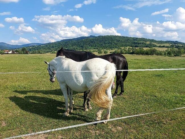 Dom wypoczynkowy dla seniora w Beskidach