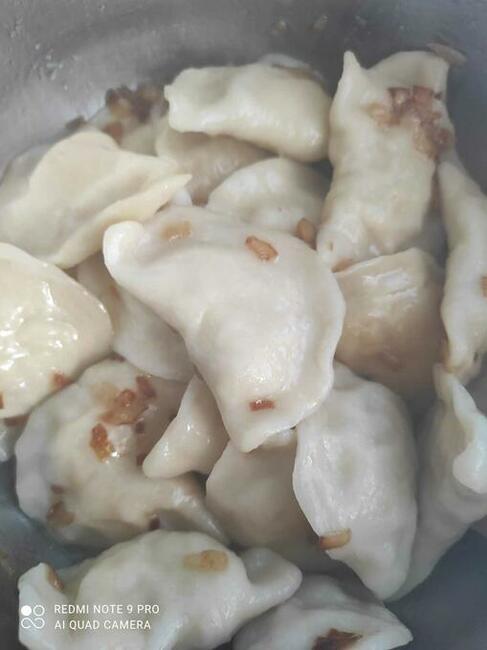 szukam pracy jako kucharz/ pomoc kuchenna