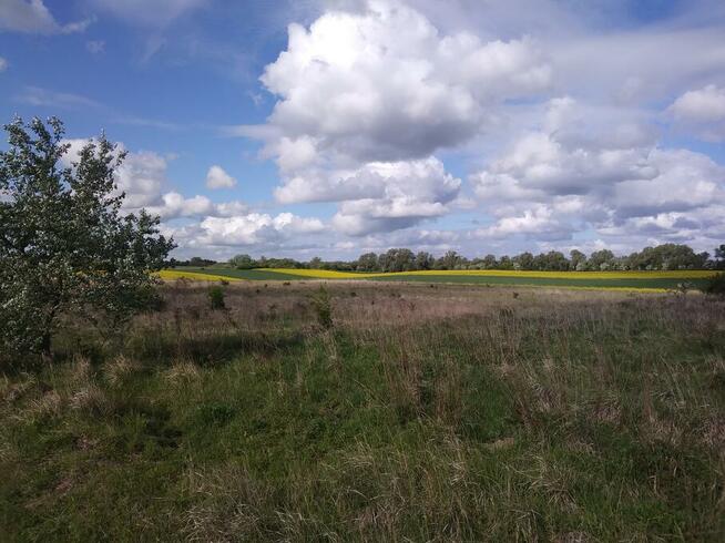 Działka rolna IV klasy w obrębie Ustowo o powierzchni 1,5ha
