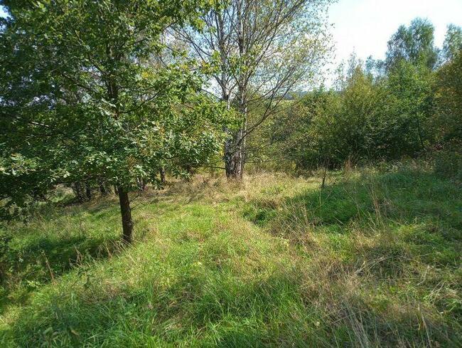 Duża i w dobrej cenie działka budowlana w Rychwałdzie.