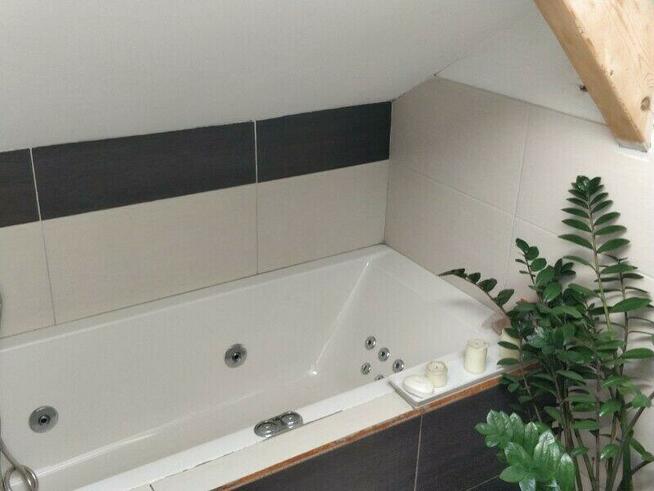 Wynajmę dom 190 m2 biura, działalność gospodarcza, noclegi.