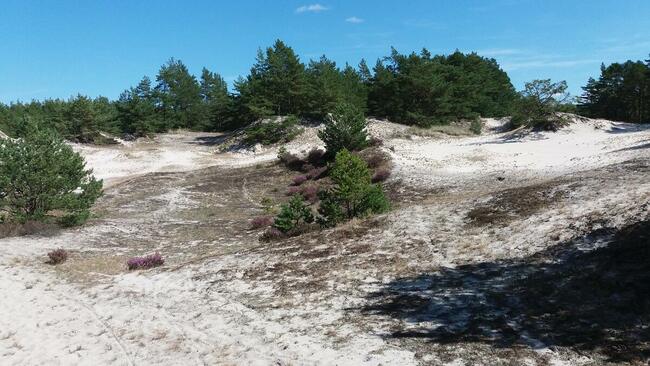 DOMEK LETNISKOWY NAD MORZEM w Lubiatowie