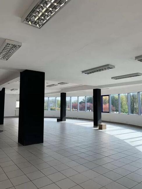 piękne biuro klasy A blisko centrum Wrocławia