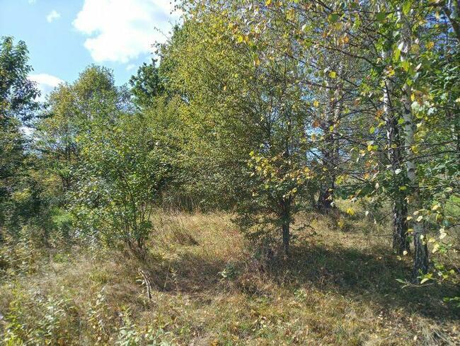 Duża i w dobrej cenie działka budowlana w Rychwałdzie.