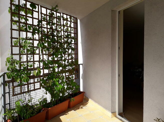 cztery drewniane kratki do ogrodu lub na balkon